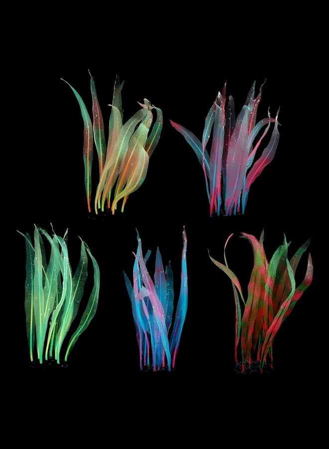 Youngy Aquarium Artificial Kelp Soft Silicone Plant Move With Water Flows 7 Inch High Realistic Seaweed Fish Tanks Decorations Silicone Seaweed Aquarium Plant Kelp Aquarium Plant Decor Realistic Fish Tanks - Image 2